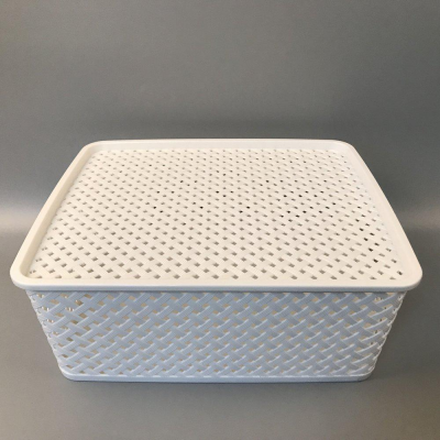 Plastic Storage Baskets with Lids – Custom Color Home Organization Bins for Toys, Household Items & More